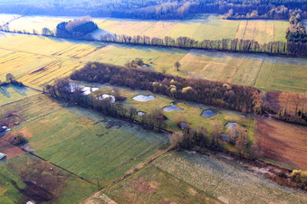 Vue aérienne de Biotope à Otterbach en hiver à Minfeld dans le département Rhénanie-Palatinat, Allemagne