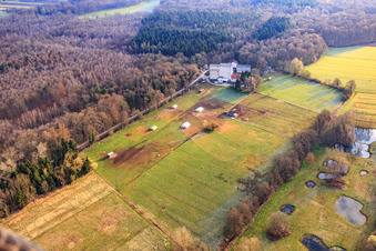 Vue d'oiseau de Poulailler Mobeler de l'élevage de poulets biologiques de Hofladen Stoltz à Hardtmühle à Kandel dans le département Rhénanie-Palatinat, Allemagne