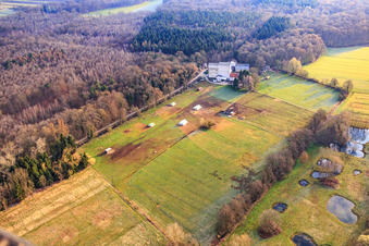 Poulailler Mobeler de l'élevage de poulets biologiques de Hofladen Stoltz à Hardtmühle à Kandel dans le département Rhénanie-Palatinat, Allemagne vue du ciel