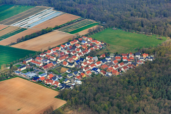 Vue aérienne de Quartier de Vorderlohe en bordure de forêt à Schwegenheim dans le département Rhénanie-Palatinat, Allemagne