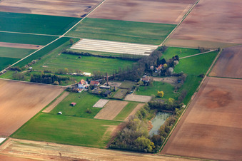 Vue aérienne de Écurie Spieß et MRC-Harthausen à Harthausen dans le département Rhénanie-Palatinat, Allemagne