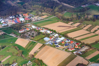 Vue aérienne de Zone commerciale AM Pfaffensee avec Kirchner Garden and Landscape Construction GmbH et GS Electrical Engineering GmbH à Harthausen dans le département Rhénanie-Palatinat, Allemagne