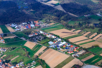 Vue aérienne de Zone commerciale AM Pfaffensee avec Kirchner Garden and Landscape Construction GmbH et GS Electrical Engineering GmbH à Harthausen dans le département Rhénanie-Palatinat, Allemagne