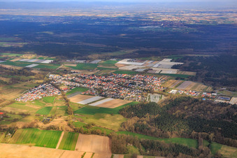 Vue aérienne de Vue d'ensemble de la ville en hiver depuis le sud à Hanhofen dans le département Rhénanie-Palatinat, Allemagne