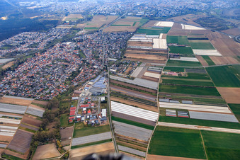 Vue aérienne de Vue d'ensemble de la ville en hiver depuis l'ouest à Dudenhofen dans le département Rhénanie-Palatinat, Allemagne