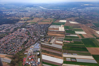 Vue aérienne de Vue d'ensemble de la ville en hiver depuis l'ouest à Dudenhofen dans le département Rhénanie-Palatinat, Allemagne