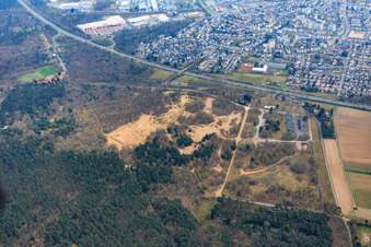 Vue aérienne de Dunes de sable dans la forêt sur le Natostr à Dudenhofen dans le département Rhénanie-Palatinat, Allemagne