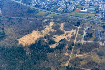 Vue aérienne de Dunes de sable dans la forêt sur le Natostr à Dudenhofen dans le département Rhénanie-Palatinat, Allemagne