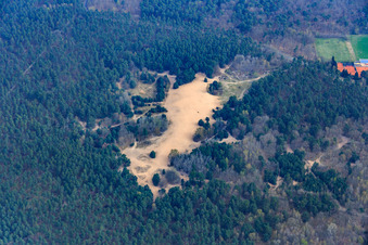 Vue aérienne de Dunes de sable dans la forêt sur le Natostr à Speyer dans le département Rhénanie-Palatinat, Allemagne