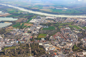 Vue aérienne de Auestraße vers le Rhin à Speyer dans le département Rhénanie-Palatinat, Allemagne