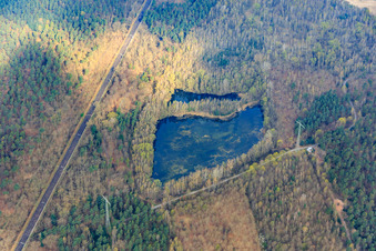 Vue aérienne de Étang à grenouilles dans la forêt à Speyer dans le département Rhénanie-Palatinat, Allemagne