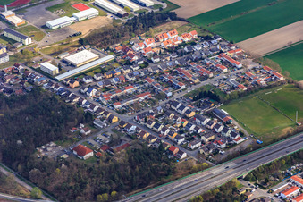 Vue aérienne de Chemin de lierre à le quartier Rinkenbergerhof in Speyer dans le département Rhénanie-Palatinat, Allemagne
