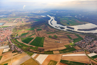 Vue aérienne de Otterstadt Vieux Rhin vu du sud-ouest à Otterstadt dans le département Rhénanie-Palatinat, Allemagne