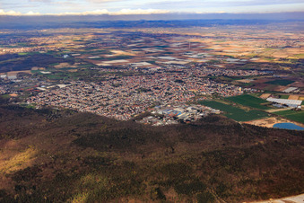 Vue aérienne de Vue de la ville depuis l'est à Schifferstadt dans le département Rhénanie-Palatinat, Allemagne