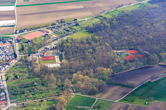 Vue aérienne de Rheinauenhallen et courts de tennis du club de tennis Waldsee dans la forêt à Waldsee dans le département Rhénanie-Palatinat, Allemagne