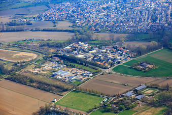 Vue aérienne de Zone industrielle de Kehl et Im Ried à Altrip dans le département Rhénanie-Palatinat, Allemagne