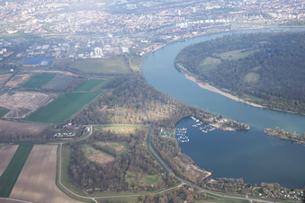 Vue aérienne de Kiefweiher à le quartier Rheingönheim in Ludwigshafen am Rhein dans le département Rhénanie-Palatinat, Allemagne