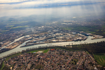 Vue aérienne de Vue de la ville sur le Rhin et du Rheinauhafen à Altrip dans le département Rhénanie-Palatinat, Allemagne