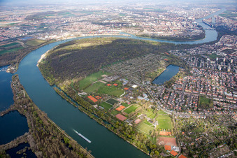 Vue aérienne de Parc forestier et île Rice à le quartier Niederfeld in Mannheim dans le département Bade-Wurtemberg, Allemagne