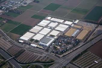 Vue aérienne de Terrain du marché de mai à le quartier Neuostheim in Mannheim dans le département Bade-Wurtemberg, Allemagne