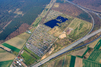 Vue aérienne de Jardin familial de l'association de jardins familiaux Viernheim sur Lampertheimer Weg à Viernheim dans le département Hesse, Allemagne