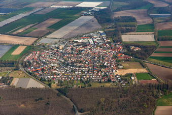 Vue aérienne de Quartier Hüttenfeld in Lampertheim dans le département Hesse, Allemagne