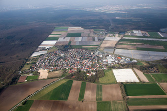 Vue aérienne de Vue des rues en forme de fer à cheval et des maisons des quartiers résidentiels à le quartier Hüttenfeld in Lampertheim dans le département Hesse, Allemagne