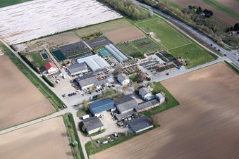 Quartier Auerbach in Bensheim dans le département Hesse, Allemagne hors des airs