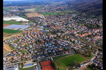 Vue aérienne de Promenade des prés Ouest à Zwingenberg dans le département Hesse, Allemagne