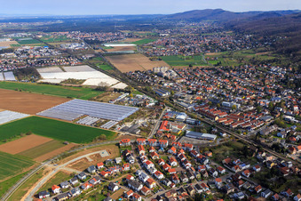 Vue aérienne de Nouvelle zone de développement de Platanenallee à Zwingenberg dans le département Hesse, Allemagne