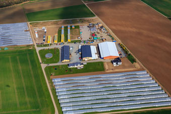 Vue aérienne de Ferme d'asperges et de fruits Wendel à Zwingenberg dans le département Hesse, Allemagne