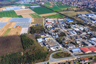 Vue aérienne de Zone industrielle de Sandwiesen avec Laetus à le quartier Sandwiese in Alsbach-Hähnlein dans le département Hesse, Allemagne