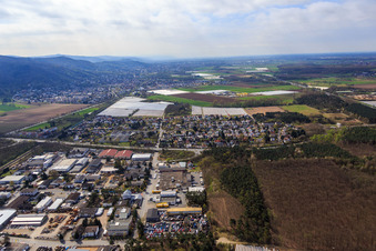 Vue aérienne de Zone industrielle de Sandwiesen avec service de remorquage et logistique de véhicules à Hedderich à le quartier Sandwiese in Alsbach-Hähnlein dans le département Hesse, Allemagne
