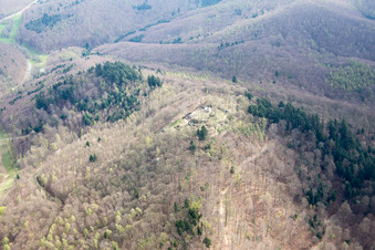 Vue aérienne de Ruines du château de Tannenberg à Seeheim-Jugenheim dans le département Hesse, Allemagne