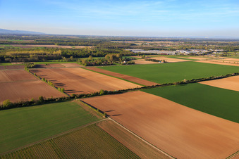 Vue aérienne de Le quartier de Höfen en hiver vu du sud à le quartier Minderslachen in Kandel dans le département Rhénanie-Palatinat, Allemagne