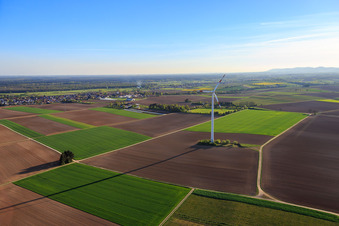 Parc éolien de Minfeld à Minfeld dans le département Rhénanie-Palatinat, Allemagne vue du ciel