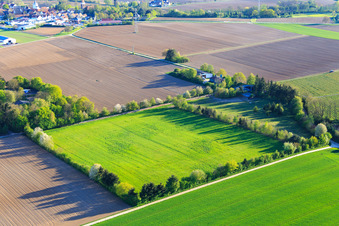 Vue aérienne de Paddock de Trakehner-Friedrich à Minfeld dans le département Rhénanie-Palatinat, Allemagne