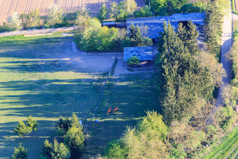 Vue oblique de Paddock de Trakehner-Friedrich à Minfeld dans le département Rhénanie-Palatinat, Allemagne
