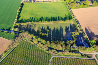Paddock de Trakehner-Friedrich à Minfeld dans le département Rhénanie-Palatinat, Allemagne depuis l'avion