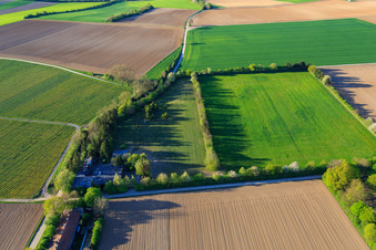 Paddock de Trakehner-Friedrich à Minfeld dans le département Rhénanie-Palatinat, Allemagne vue du ciel