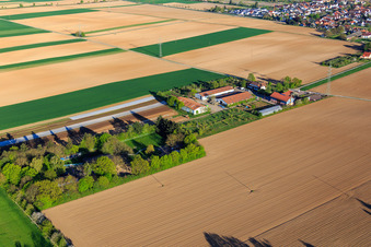 Vue aérienne de Marché du village de Schoßberghof à Minfeld dans le département Rhénanie-Palatinat, Allemagne