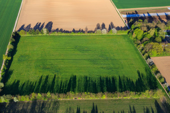 Photographie aérienne de Paddock de Trakehner-Friedrich à Minfeld dans le département Rhénanie-Palatinat, Allemagne