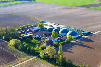 Vue aérienne de Ranch Wagner à Steinweiler dans le département Rhénanie-Palatinat, Allemagne