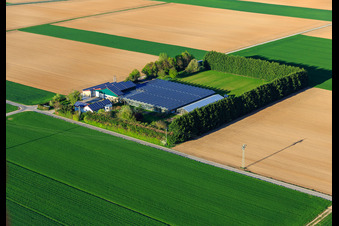 Vue aérienne de Sudetenhof à Steinweiler dans le département Rhénanie-Palatinat, Allemagne