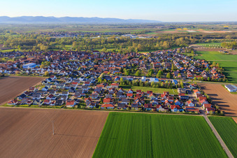 Vue aérienne de Sentier de l'érable, sentier du bouleau depuis le sud à Steinweiler dans le département Rhénanie-Palatinat, Allemagne