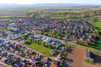 Vue aérienne de Brotäckerstr à Steinweiler dans le département Rhénanie-Palatinat, Allemagne
