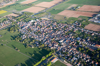 Vue d'oiseau de Quartier Queichheim in Landau in der Pfalz dans le département Rhénanie-Palatinat, Allemagne