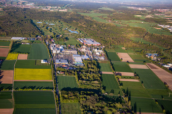 Vue aérienne de Zone industrielle de Bruchwiesenstraße avec quincaillerie Hornbach devant le club de golf à Bornheim dans le département Rhénanie-Palatinat, Allemagne