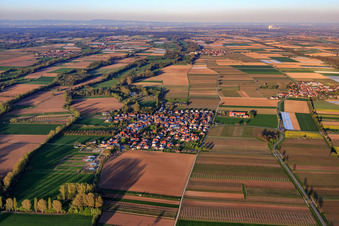 Vue aérienne de Vue du village de Modenbach depuis l'ouest à Großfischlingen dans le département Rhénanie-Palatinat, Allemagne