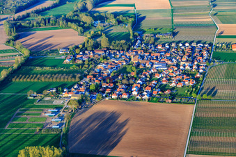 Vue aérienne de Vue du village de Modenbach depuis l'ouest à Großfischlingen dans le département Rhénanie-Palatinat, Allemagne
